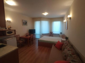 Pine Tree Studio B11 Bansko